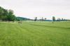 shelton-R5-022-9A.jpg