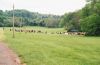 shelton-R7-028-12A.jpg